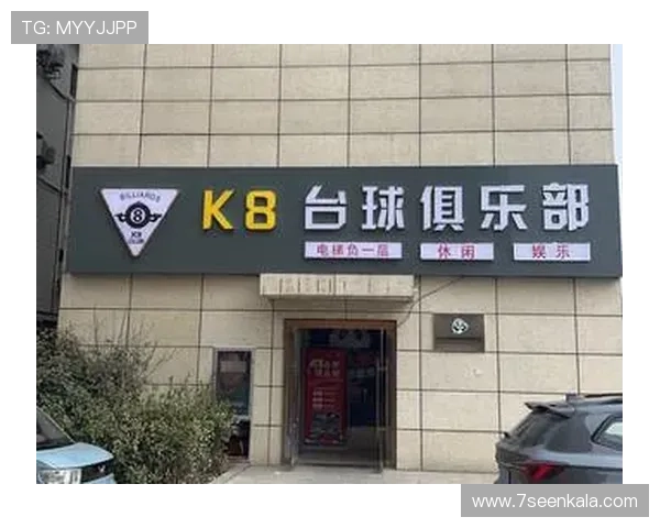 K8体育登录平台全面升级助力用户体验提升实现多元化体育赛事在线观看